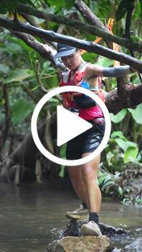 BIB:  <button type="button" onclick="openModal(27808195)" class="btn btn-primary btn-sm float-right" data-toggle="modal" data-target=".modal-high-quality">
                <i class="fa fa-download"></i> Download
                </button>